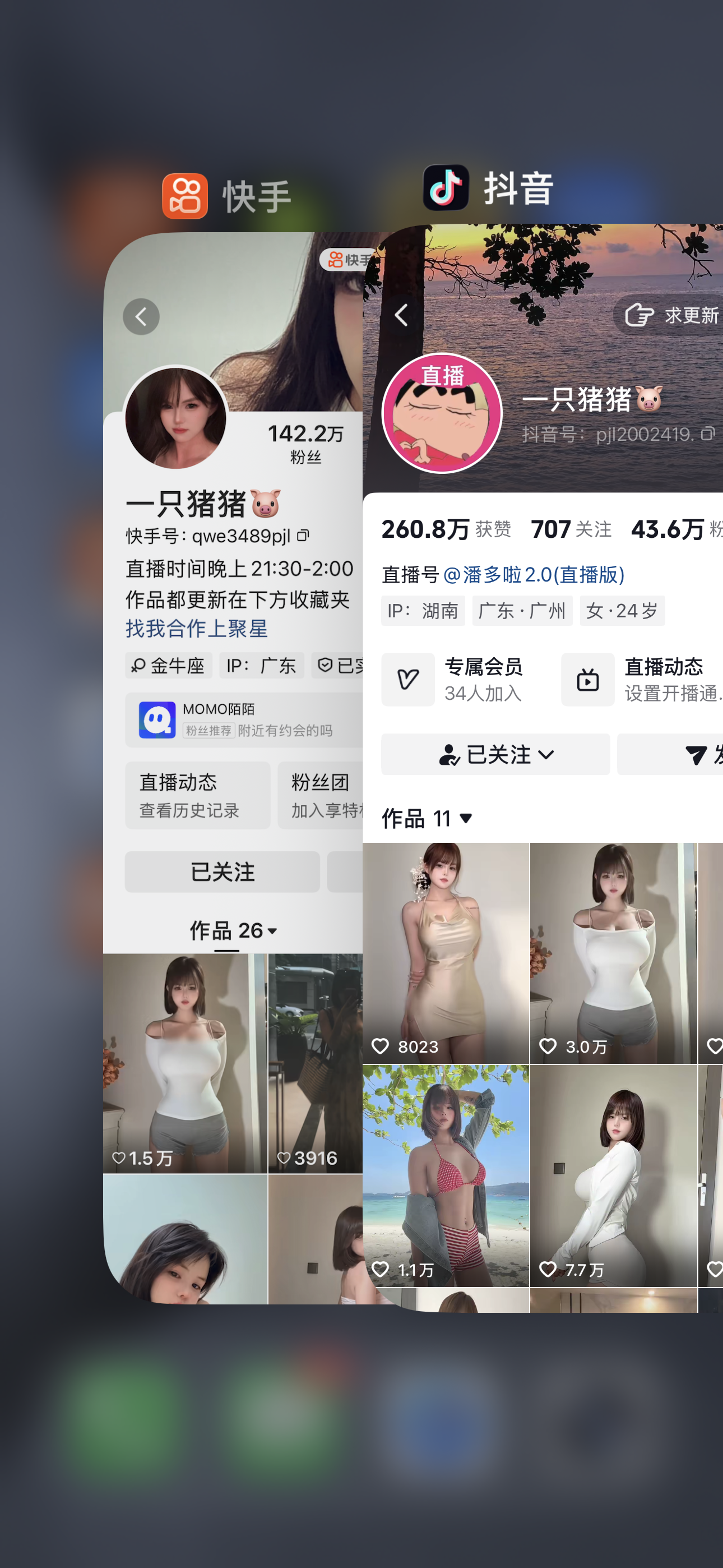 快手猪猪(猪猪大哥)私人定制